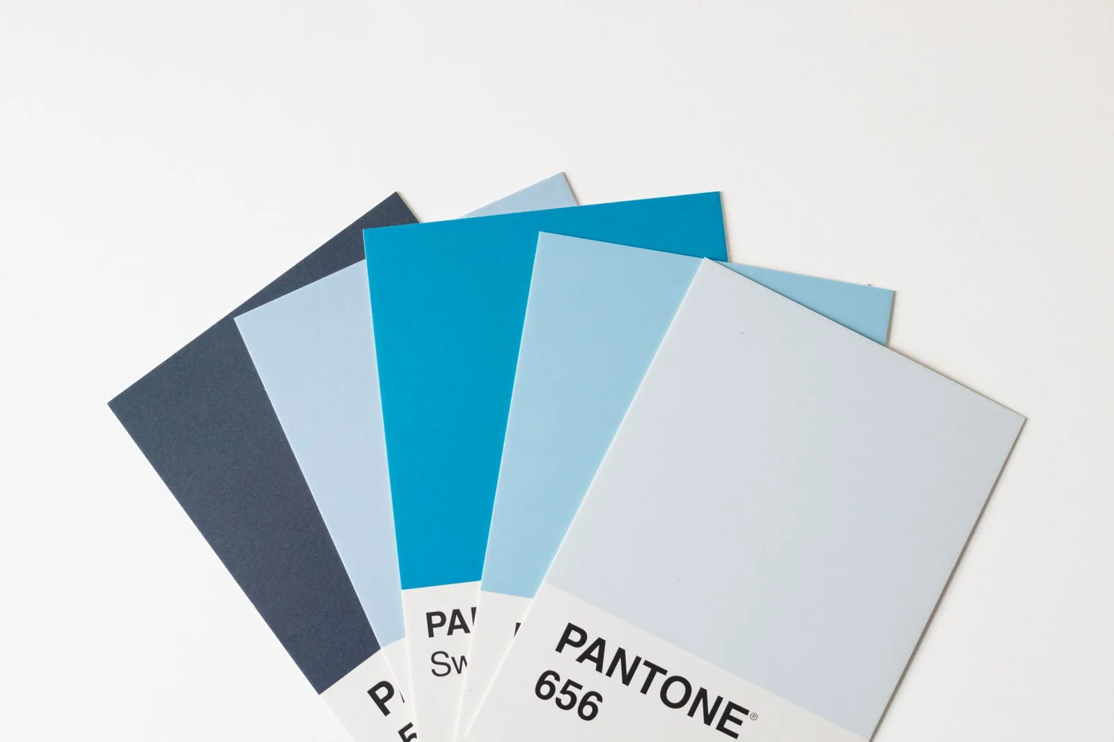 Blue color swatches fanned out on a white table
